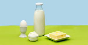 Milch, Ei, Käse und Quark: Laktose und Eiweiß